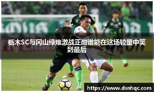 枥木SC与冈山绿雉激战正酣谁能在这场较量中笑到最后