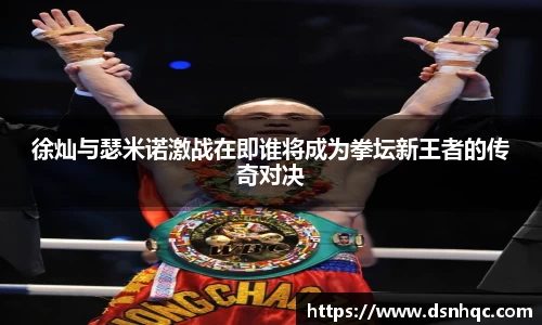 徐灿与瑟米诺激战在即谁将成为拳坛新王者的传奇对决