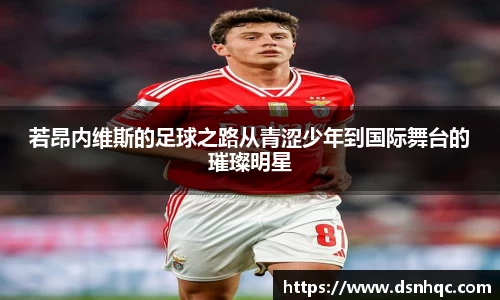 爱游戏ayx